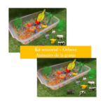 KIT SENSORIAL-ORBEEZ ANIMALES DE LA GRANJA