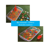 KIT SENSORIAL-ORBEEZ ANIMALES MARINOS