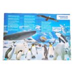 ATLAS ANIMALES DE LOS 5 CONTINENTES - Imagen 3