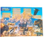 ATLAS ANIMALES DE LOS 5 CONTINENTES - Imagen 4
