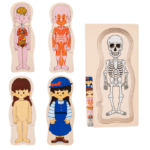 ROMPECABEZA CUERPO HUMANO 5 CAPAS  NIÑA
