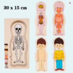 ROMPECABEZA CUERPO HUMANO 5 CAPAS NIÑO - Imagen 4