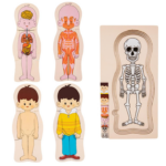 ROMPECABEZA CUERPO HUMANO 5 CAPAS NIÑO