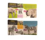 LIBRO CON SONIDOS Y TEXTURAS ANIMALES DE LA SELVA - Imagen 2