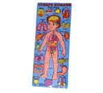 ROMPECABEZA DE PARTES DEL CUERPO HUMANO FEMENINO/MASCULINO - Imagen 3