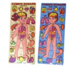 ROMPECABEZA DE PARTES DEL CUERPO HUMANO FEMENINO/MASCULINO