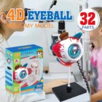 GLOBO OCULAR 4D - Imagen 4