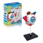 GLOBO OCULAR 4D