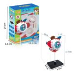 GLOBO OCULAR 4D - Imagen 5